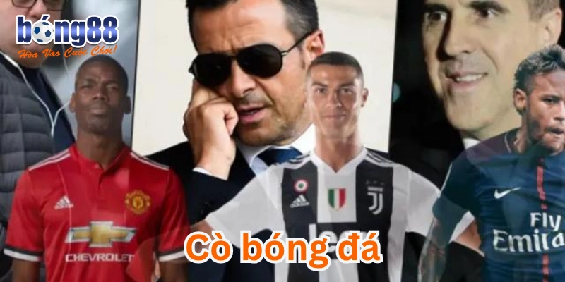 Cò Bóng Đá và 5 Sự thật ít ai biết đến khiến bạn giật mình