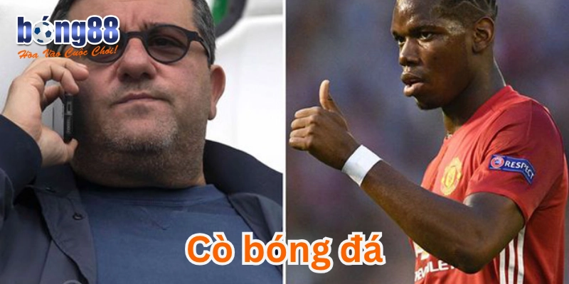 Nhận biết và phòng tránh bẫy Cò Bóng Đá hiệu quả